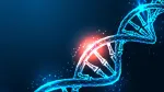 A safer CRISPR breakthrough flips genes back on, without cutting DNA, and could change the future of genetic disease treatment.