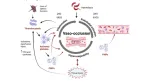 Sickle Cell Anemia